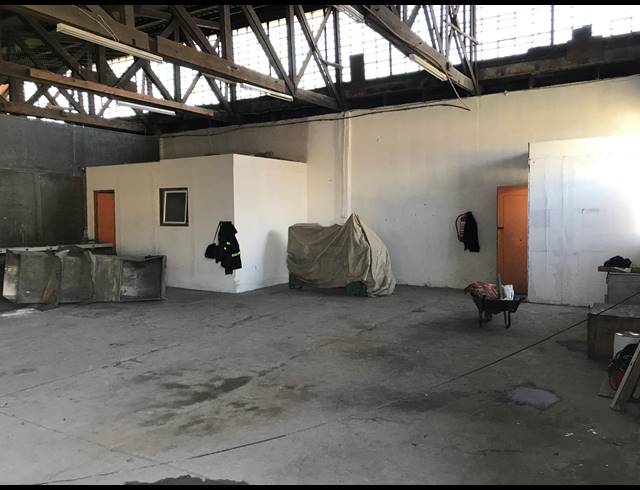160M² FACTORY TO LET IN ELSIES RIVER INDUSTRIAL